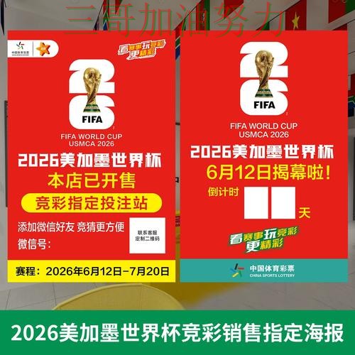 世界杯投注网站大全怎么选？一篇讲清楚｜入口汇总（世界杯官方信息）